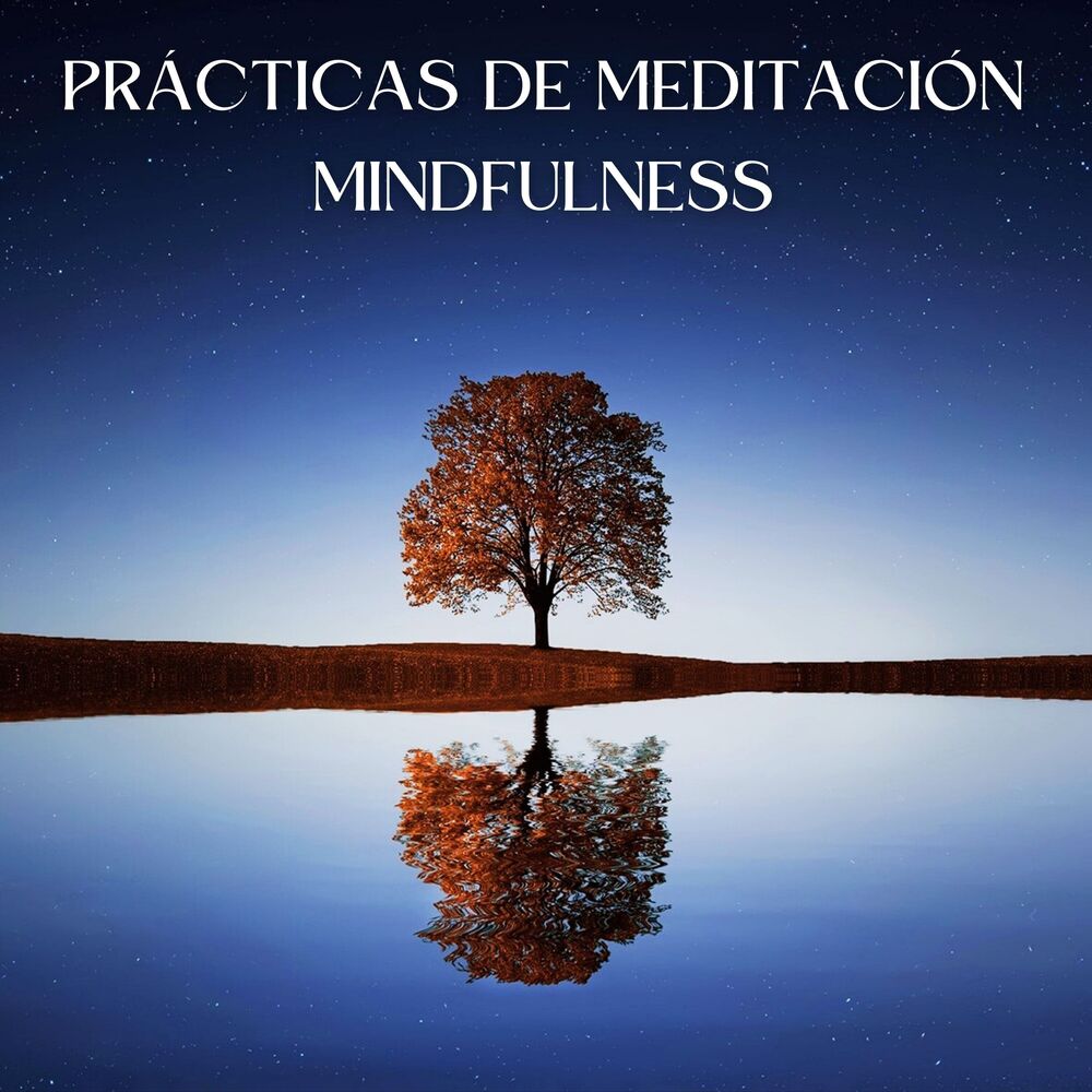Picture of Prácticas De Meditación Mindfulness