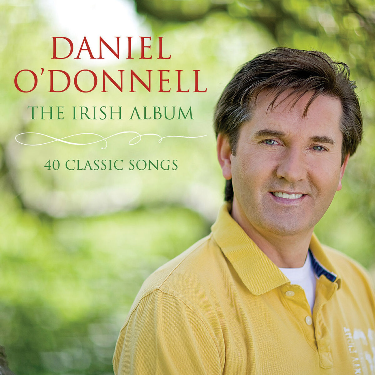 Album cover of The Irish Album: 40 Classic Songs