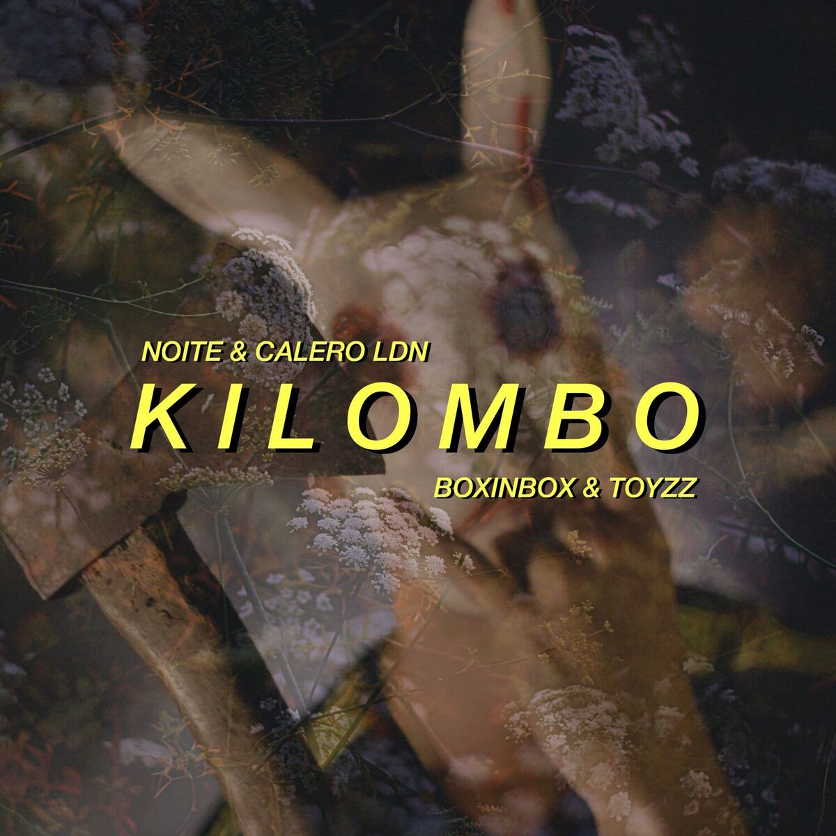 Album cover of Kilombo