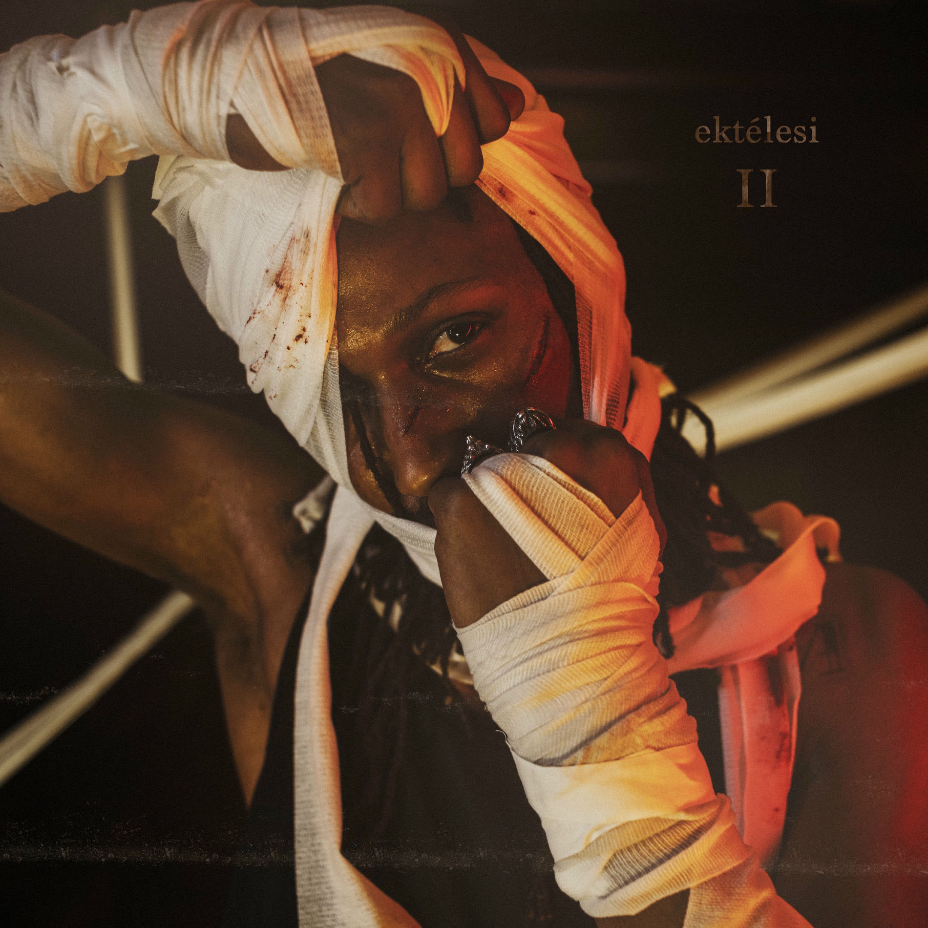 Album cover of ektélesi II