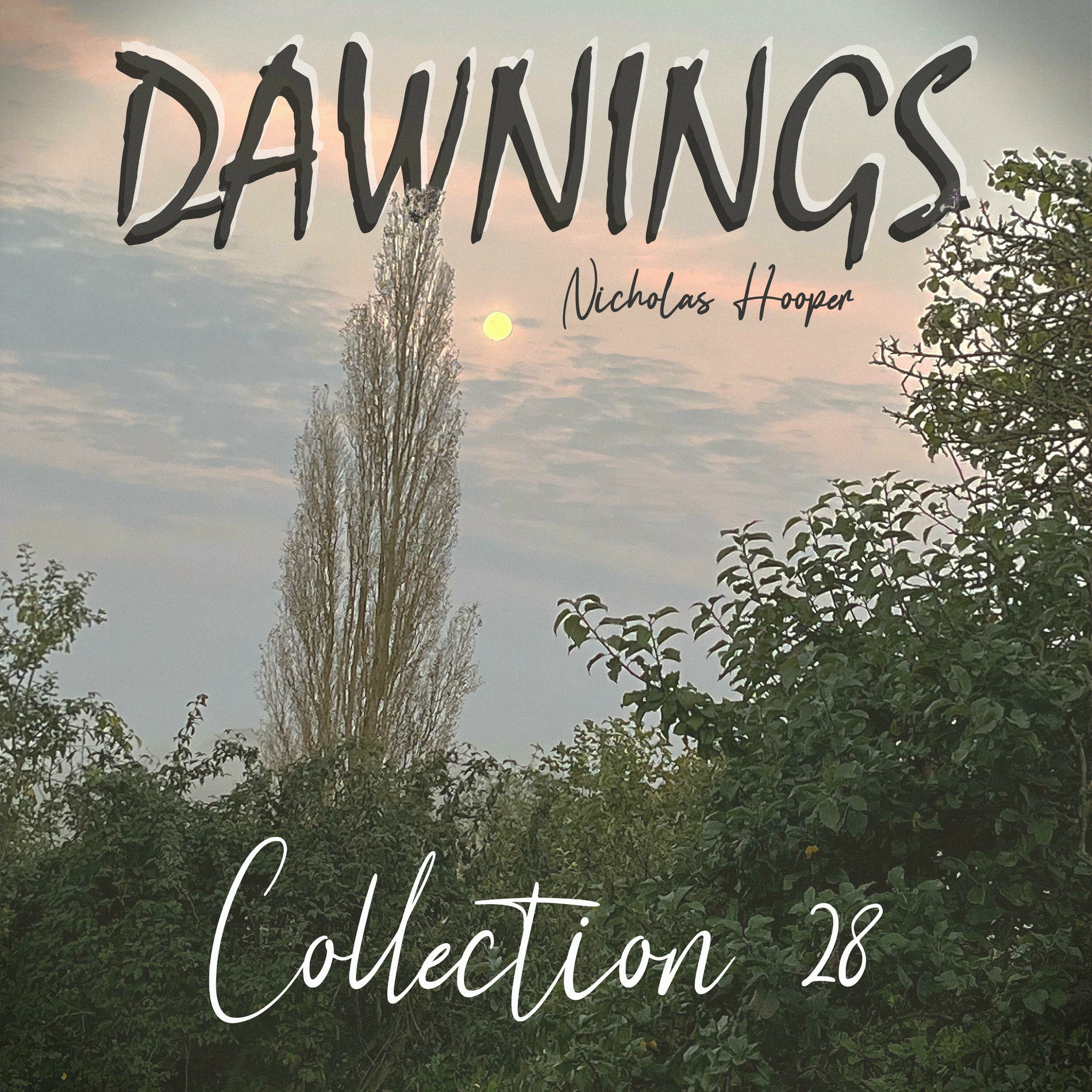 Album cover of Dawnings: Collection 28