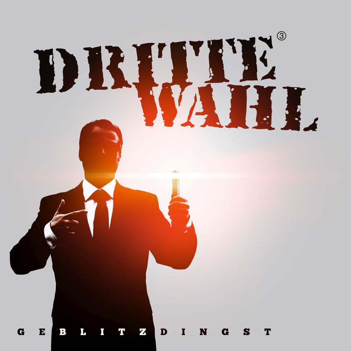Album cover of Zu wahr um schön zu sein
