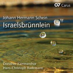 Cover of Schein: Israelsbrünnlein