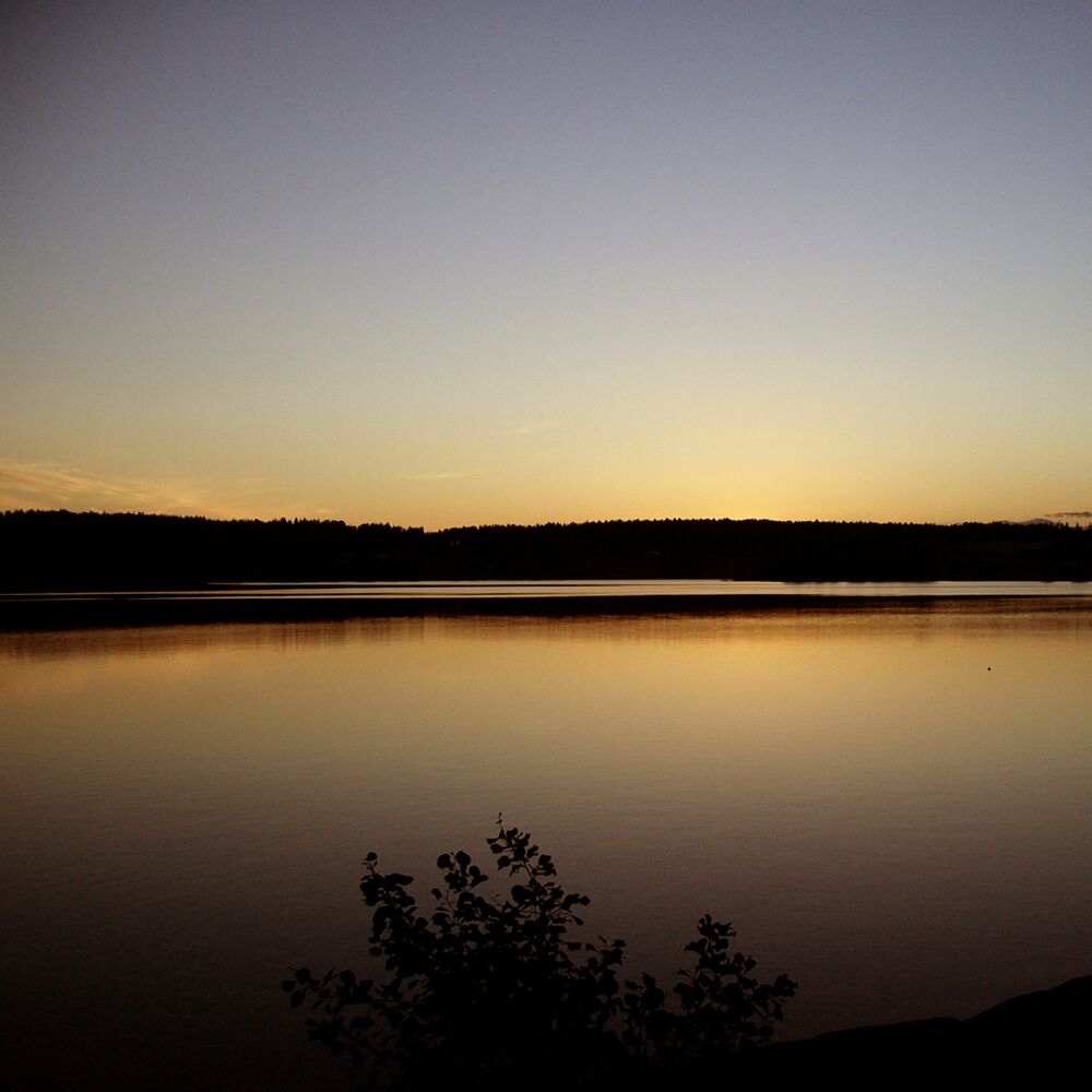Picture of En gång om året