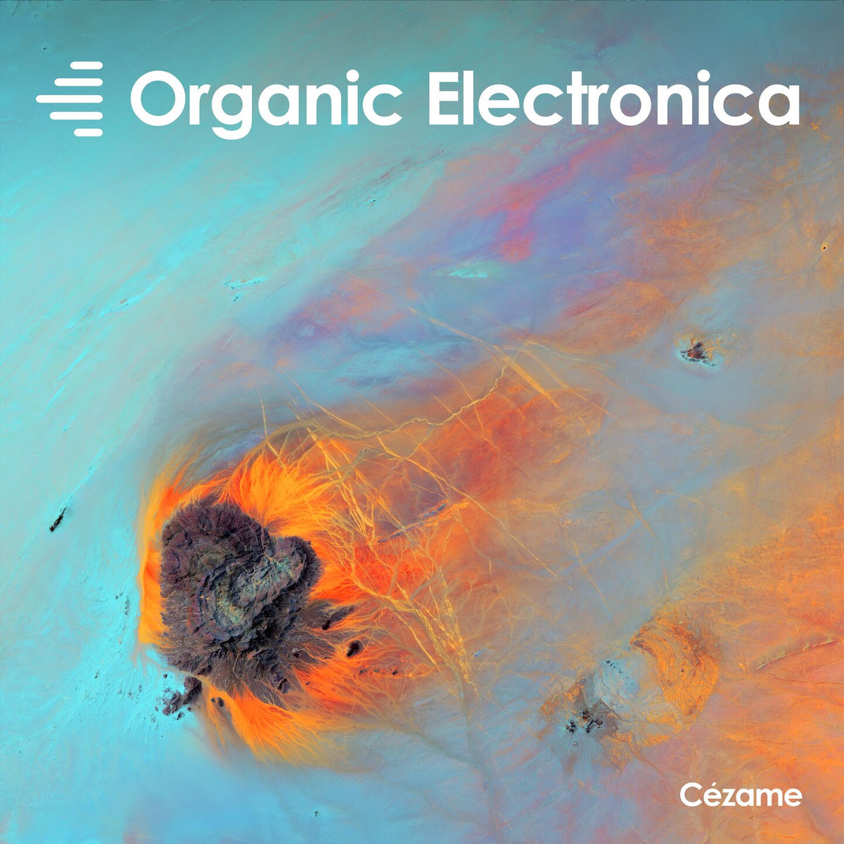 Album cover of Organic Electronica