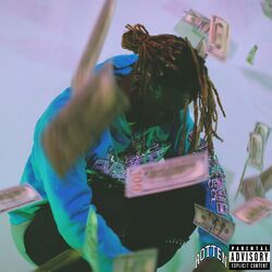 Cover of Rotting Out