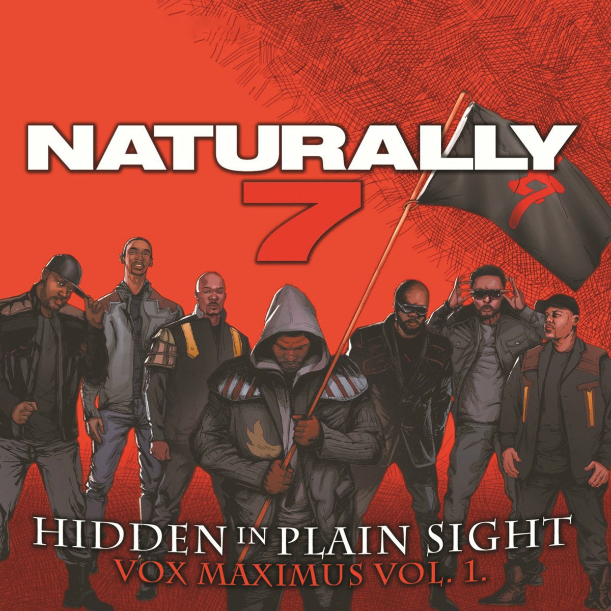 Album cover of Hidden in Plain Sight