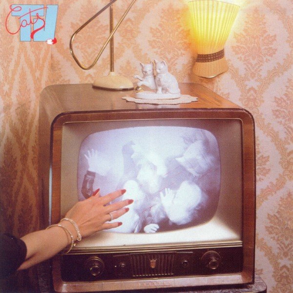 Album cover of Cats TV