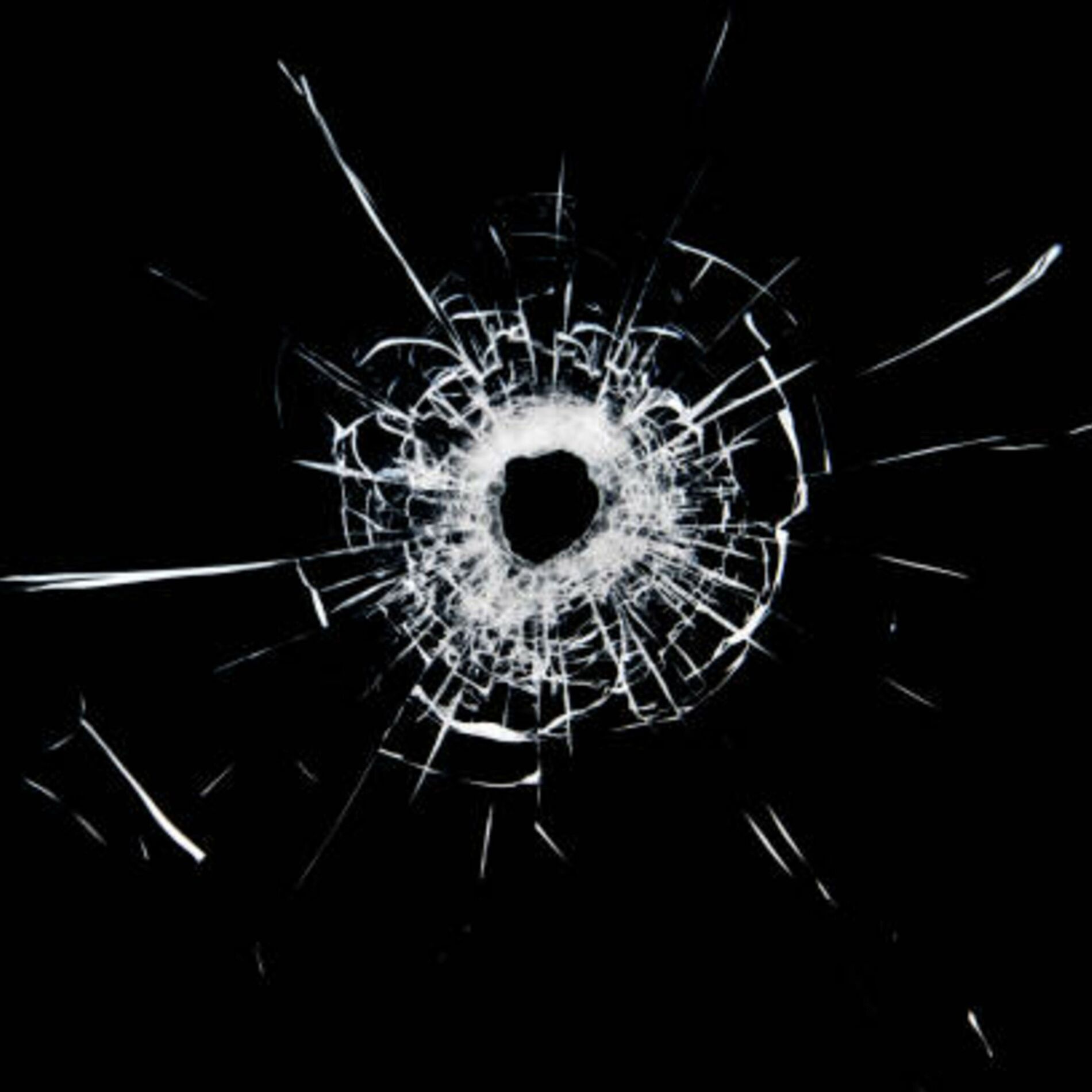 Album cover of 1-800-SPLAT