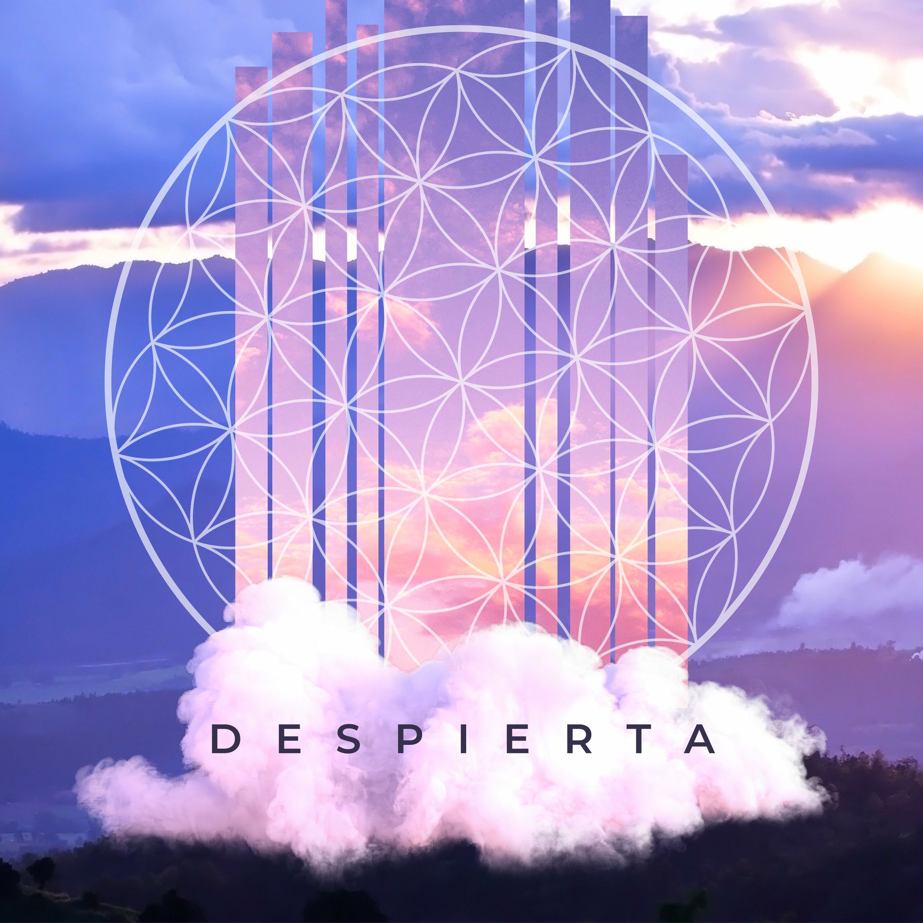 Album cover of Despierta