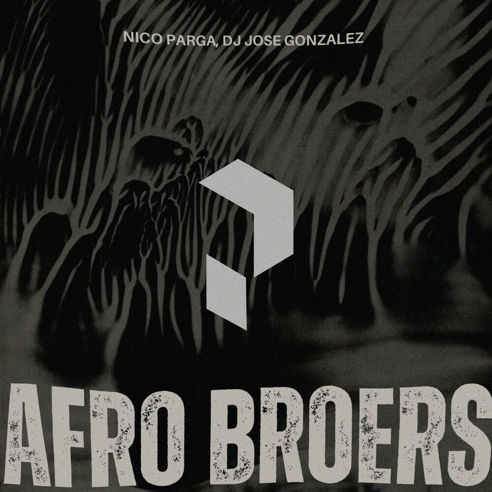 Picture of Afro Broers