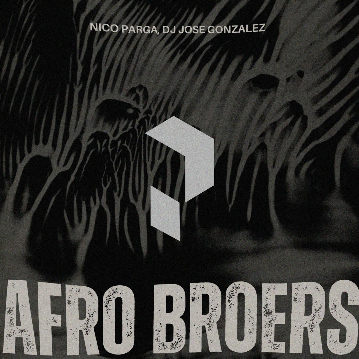 Album cover of Afro Broers