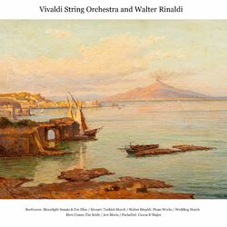 Cover of Beethoven: Moonlight Sonata & For Elise / Mozart: Turkish March / Walter Rinaldi: Piano Works / Wedding March / Here Comes The Bri
