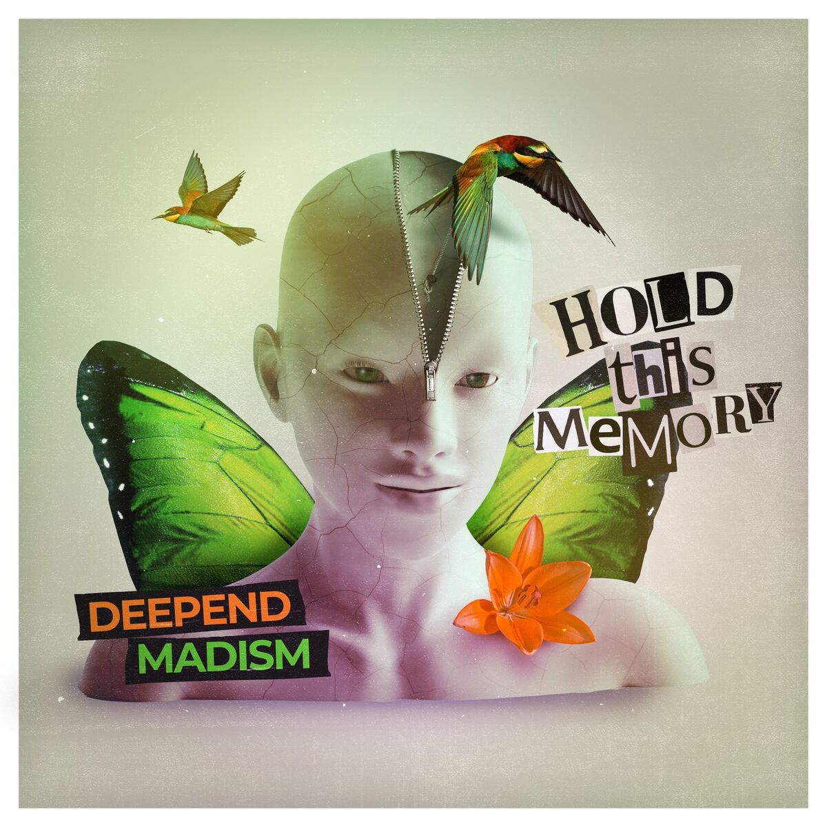 Album cover of Hold This Memory