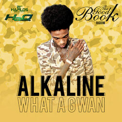 Cover of Wha a Gwan - Single