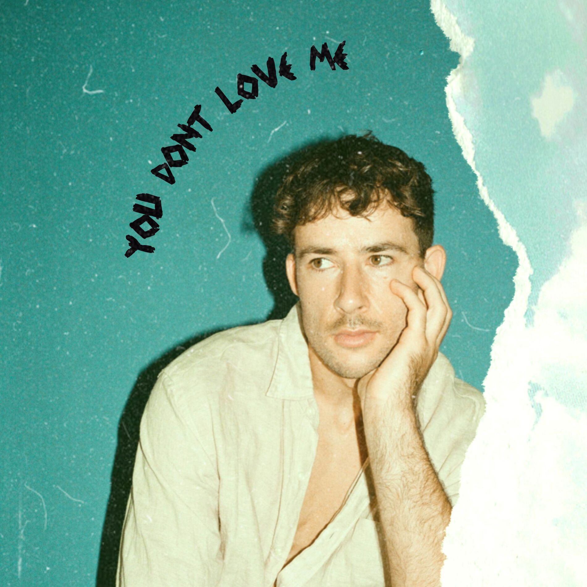 Album cover of You Don't Love Me