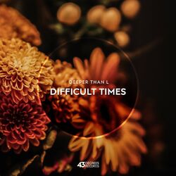 Cover of Difficult Times