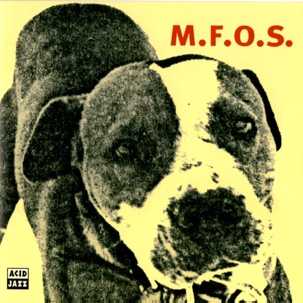 Picture of M.F.O.S.