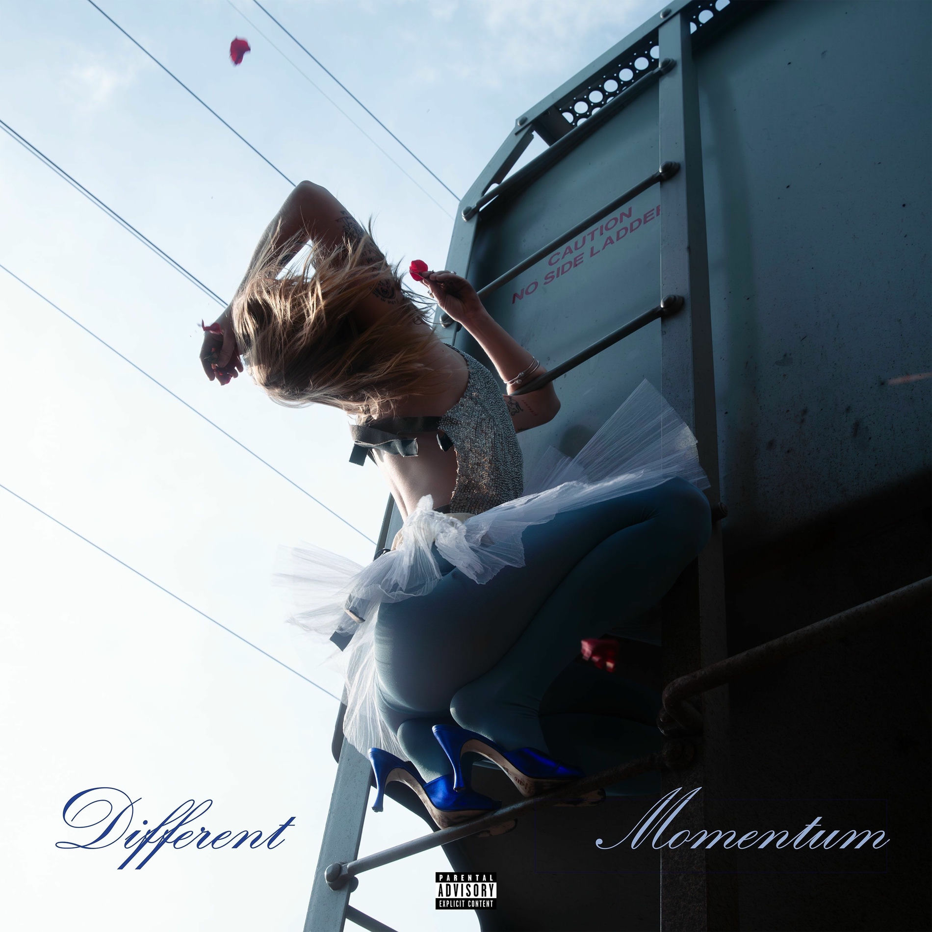 Album cover of Different / Momentum