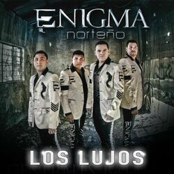 Cover of Los Lujos
