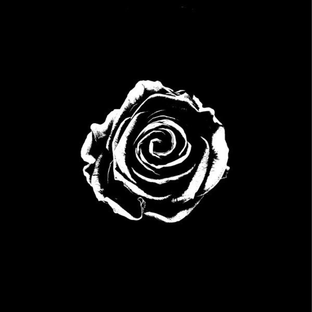 Album cover of Into The Silence