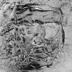 Cover of The Anteroom