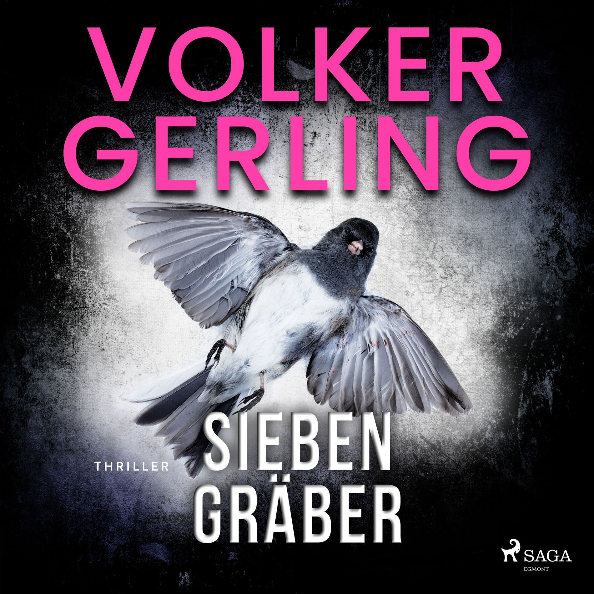 Album cover of Sieben Gräber (Thriller)