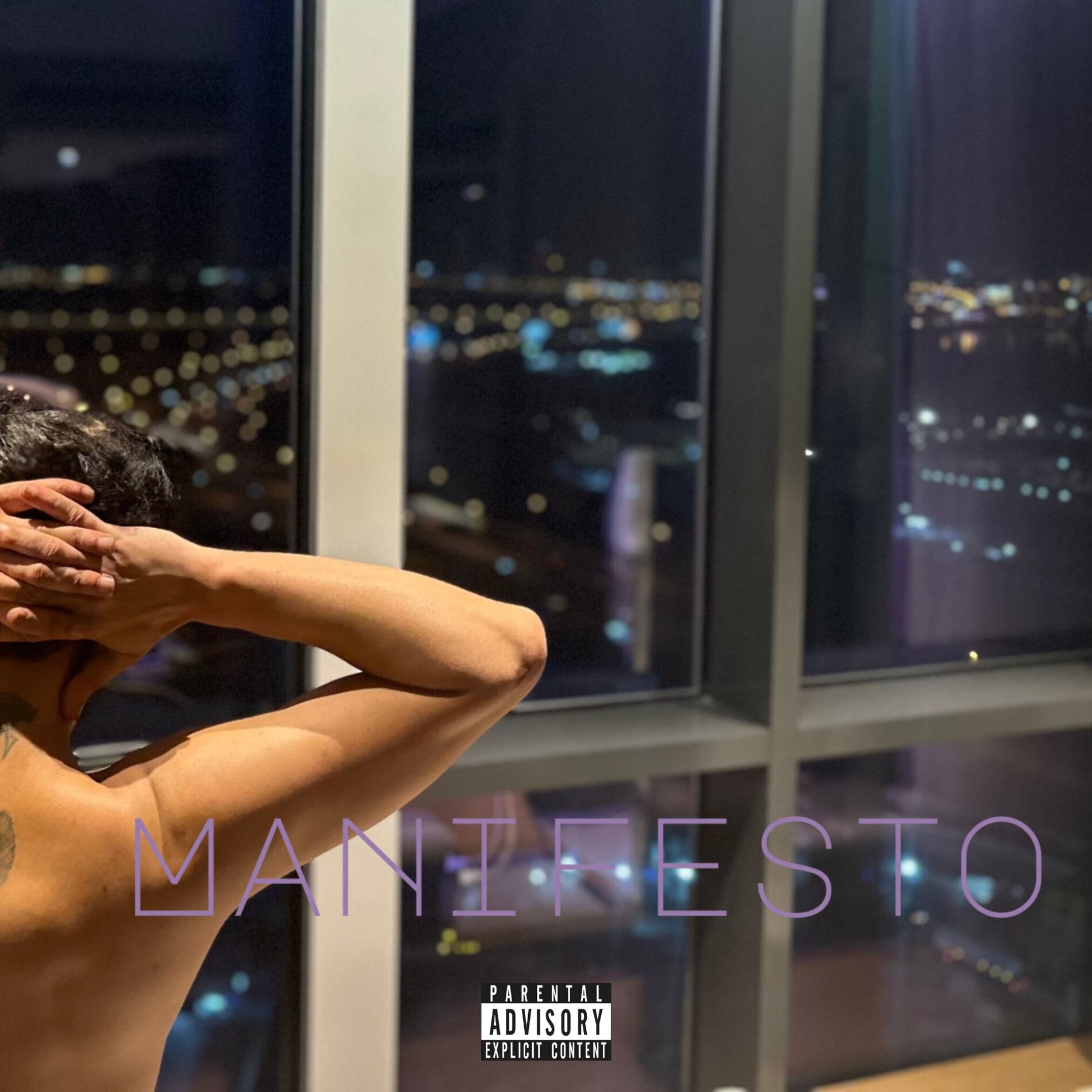 Album cover of Manifesto 2