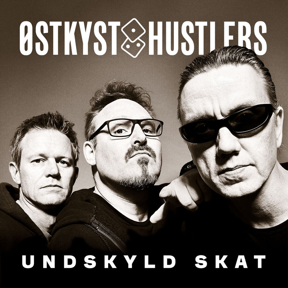 Picture of Undskyld Skat