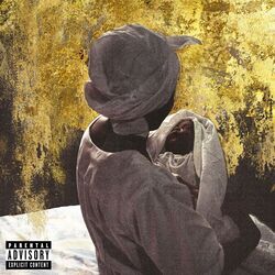 music cover