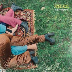 Cover of VENT'ANNI