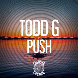 Cover of Push