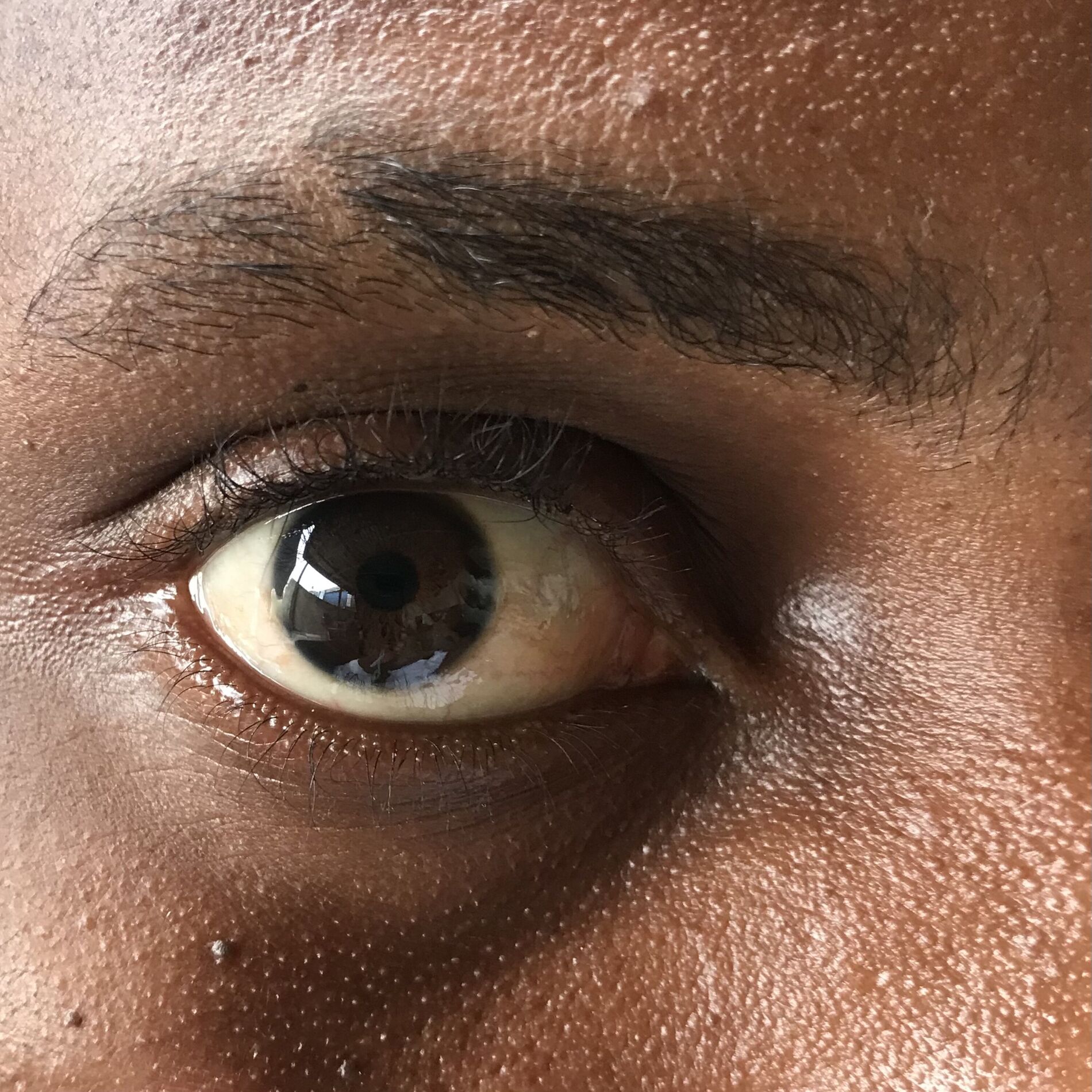 Album cover of Focused
