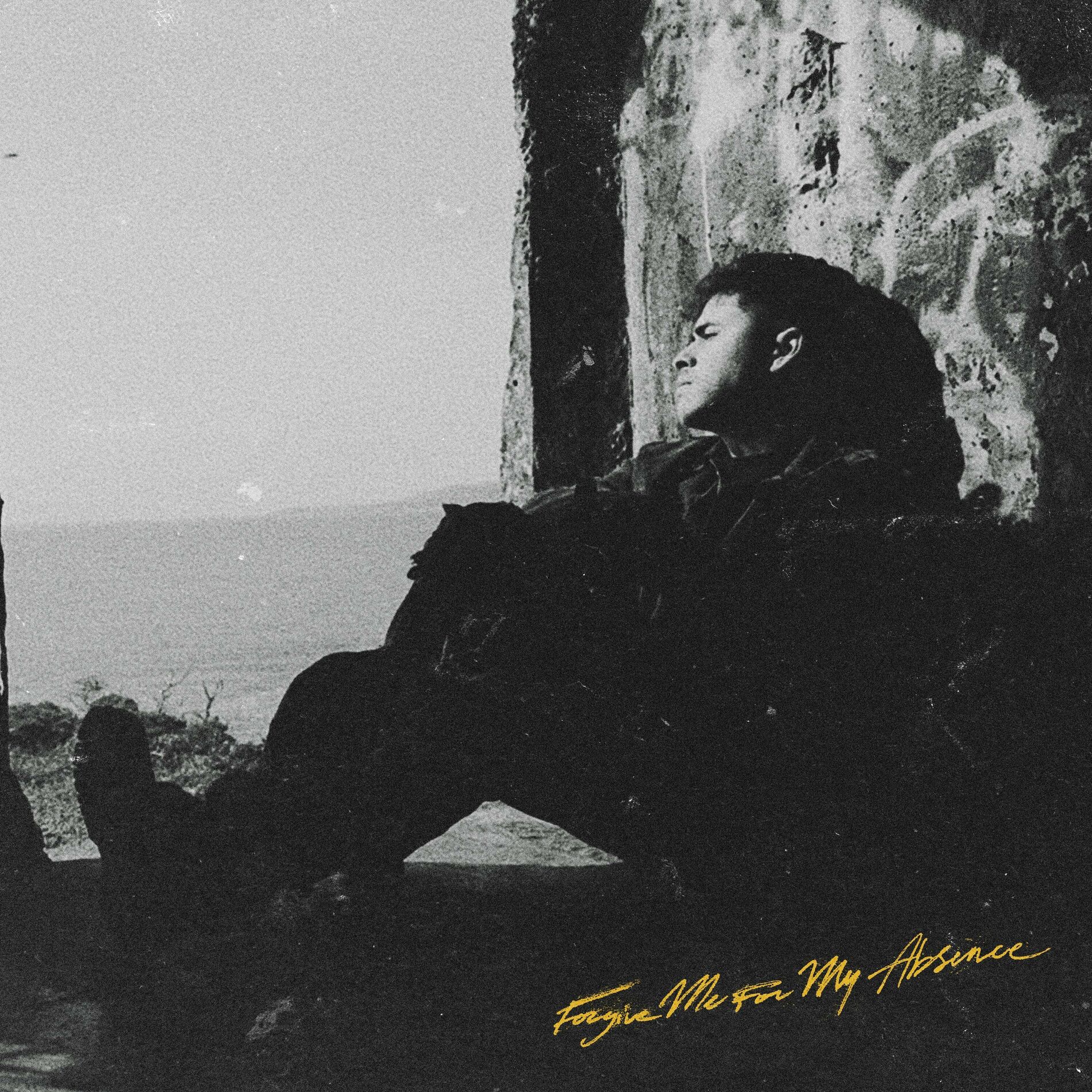 Album cover of Forgive Me for My Absence