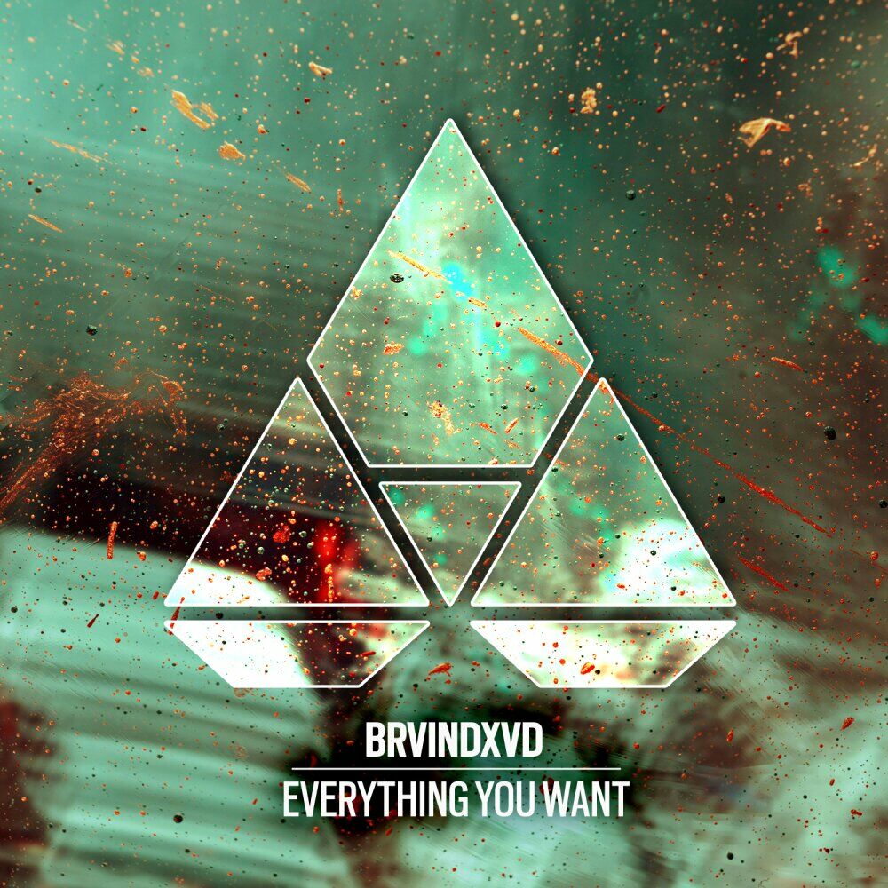 Picture of Everything You Want