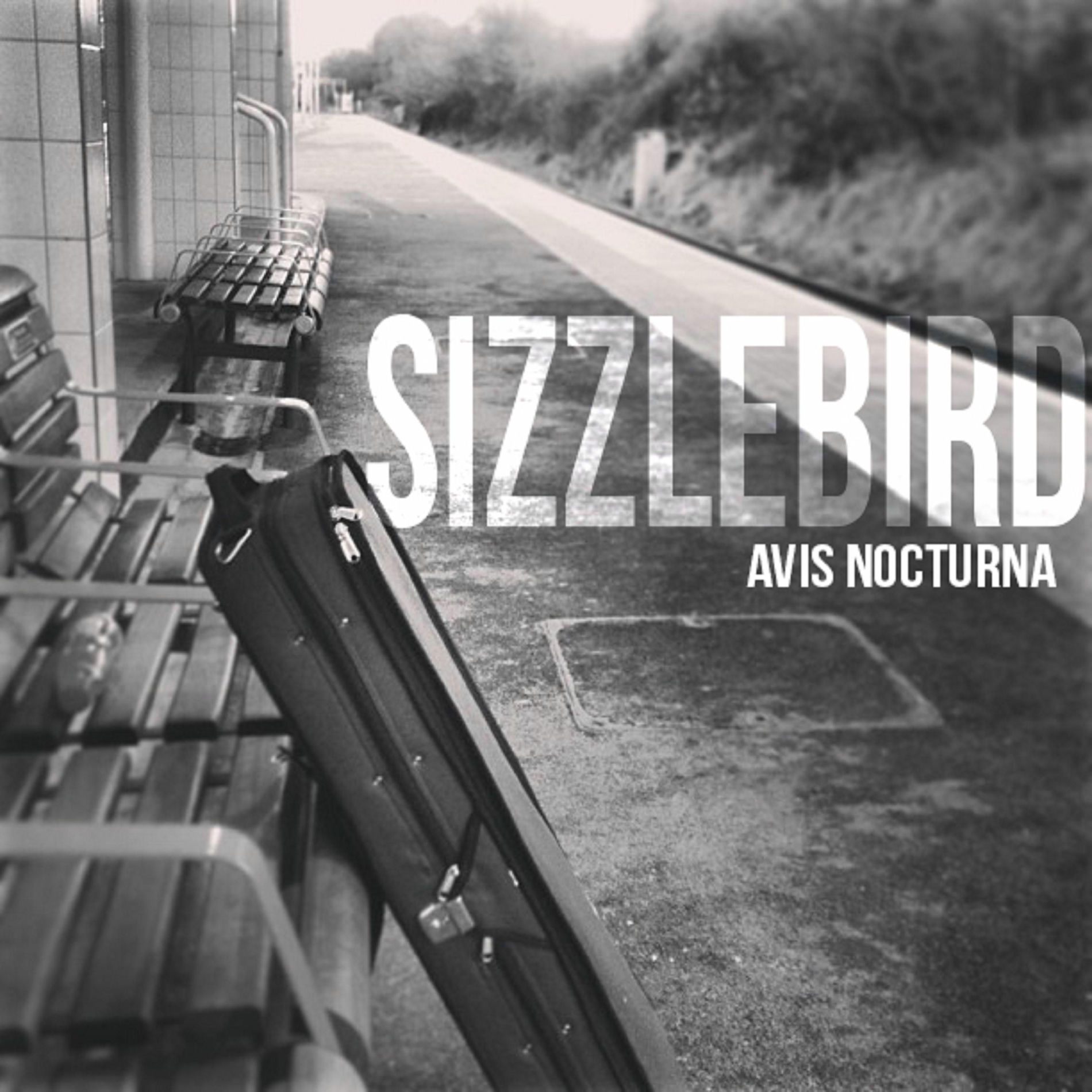 Album cover of Avis Nocturna