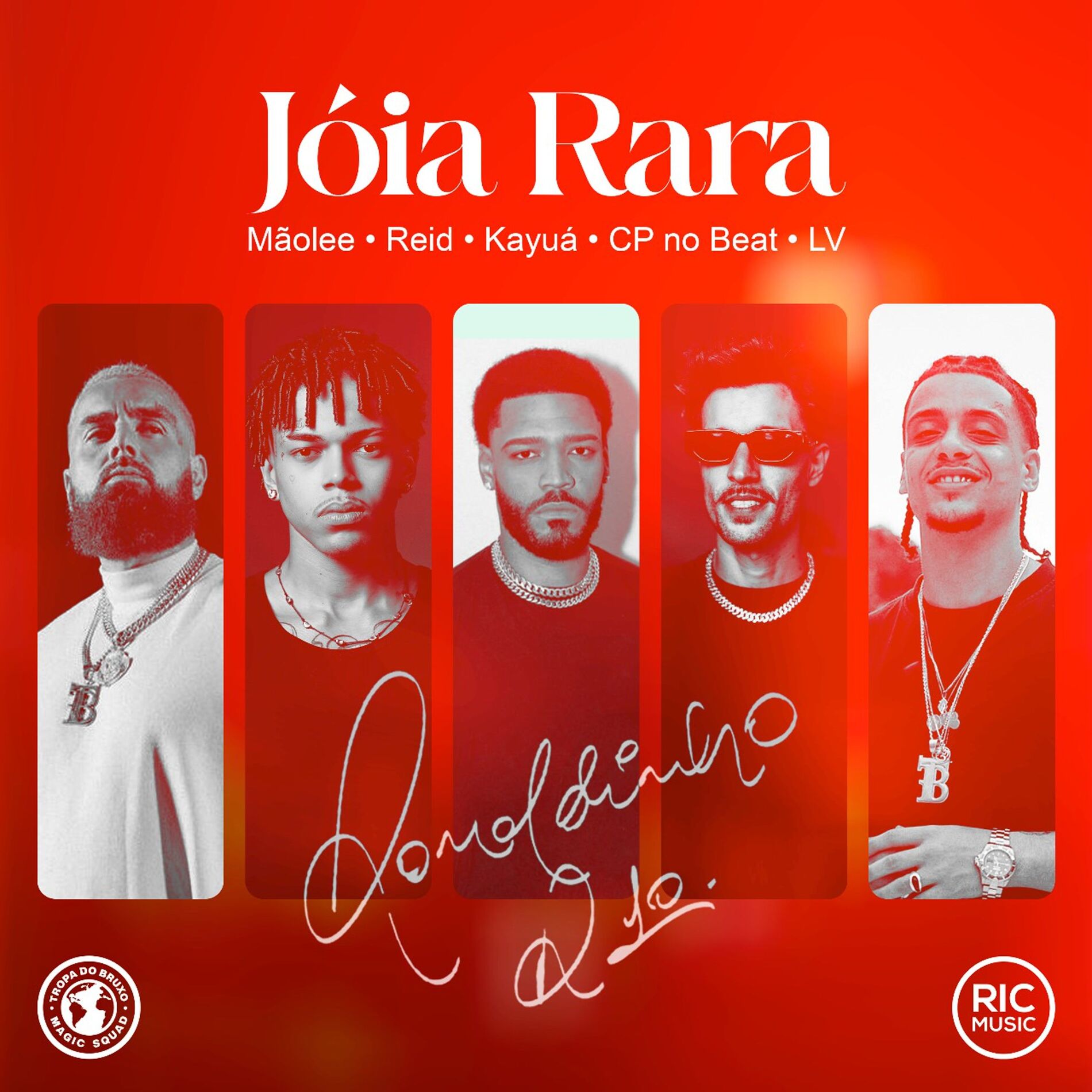 Album cover of Jóia Rara