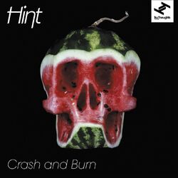 Cover of Crash and Burn (feat. Natalie Storm)