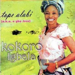 Cover of Kokoro Igbala