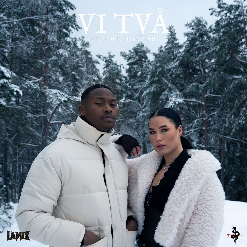 Picture of Vi Två (feat. Molly Hammar)