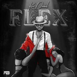 Cover of Flex