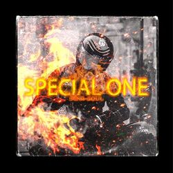 Cover of Special One