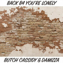 Cover of Back b4 you're Lonely
