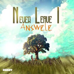 Cover of Never Leave I