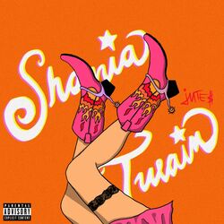 Cover of Shania Twain