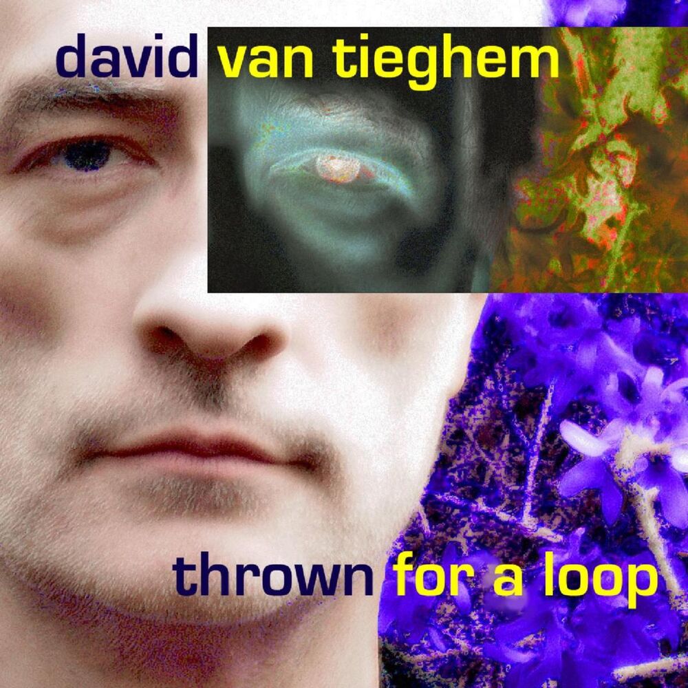 Picture of Thrown for a Loop