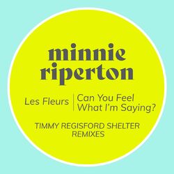 Cover of Les Fleurs / Can You Feel What I'm Saying? (Timmy Regisford Shelter Remixes)