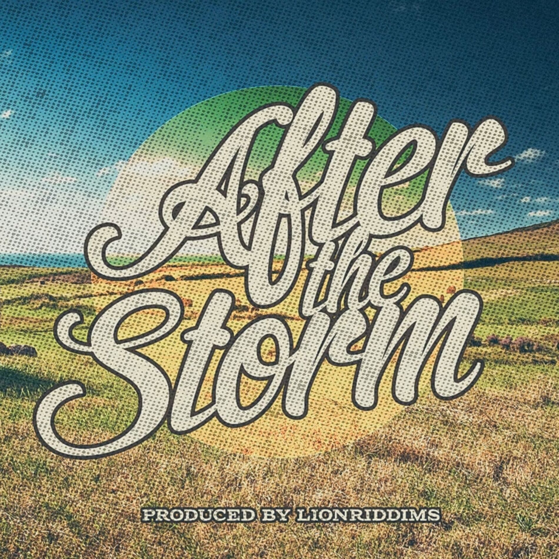Album cover of After the Storm