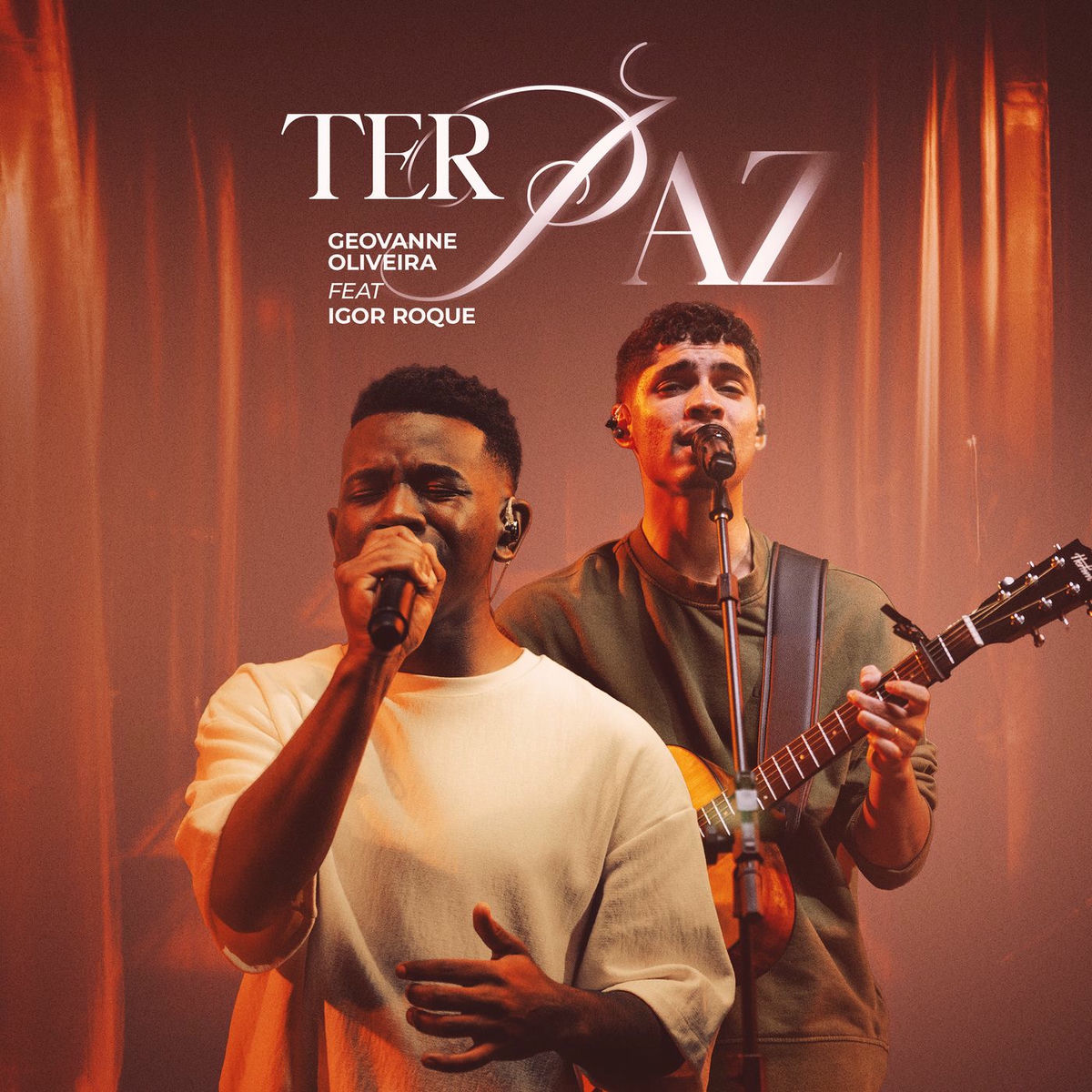 Album cover of Ter Paz (Ao Vivo)