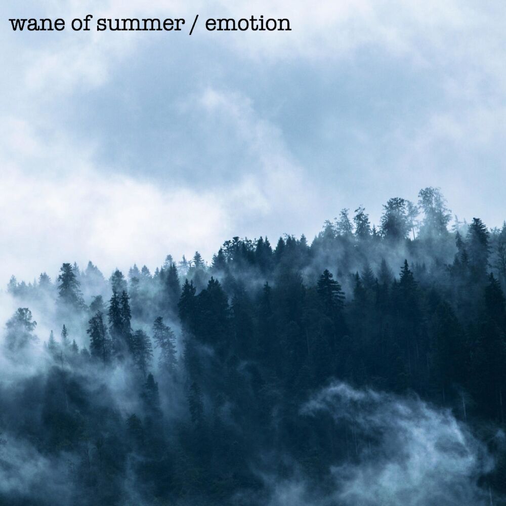 Picture of Emotion